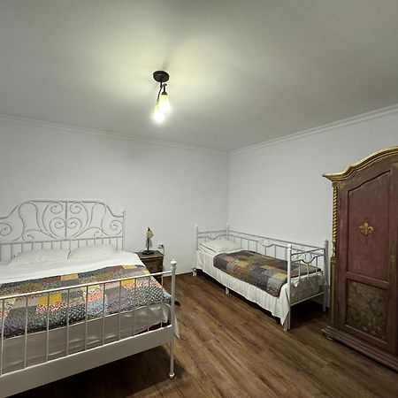Vila Speranta Pleşcoi 외부 사진