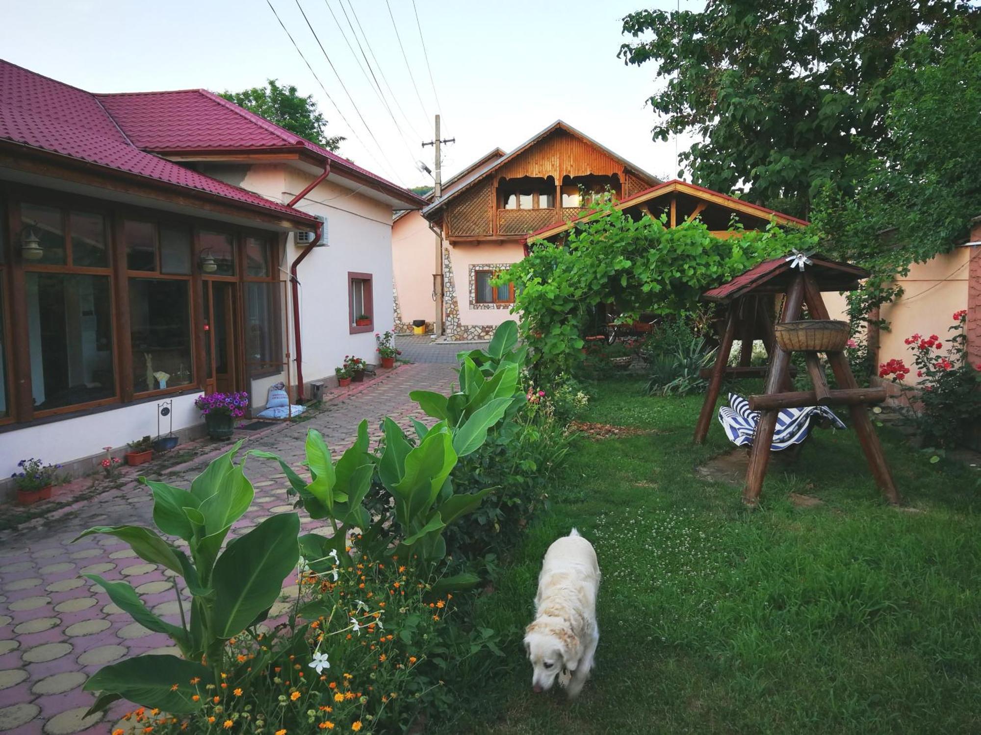 Vila Speranta Pleşcoi 외부 사진